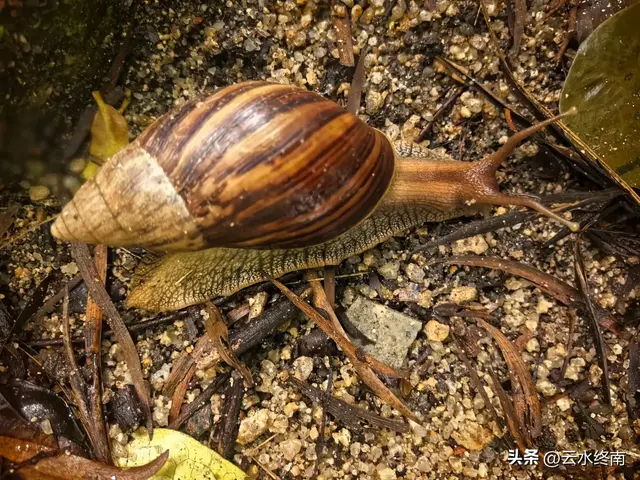 一个五A级植物园，到底藏着哪些值得看的地方，这是最实在的攻略