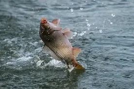 青岛10个免费钓点推荐，附带具体位置图片