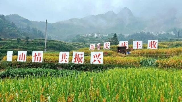 美景、品美食，来歙县，遇见一场“秋意浓”丨第十五届安徽国际文化旅游节