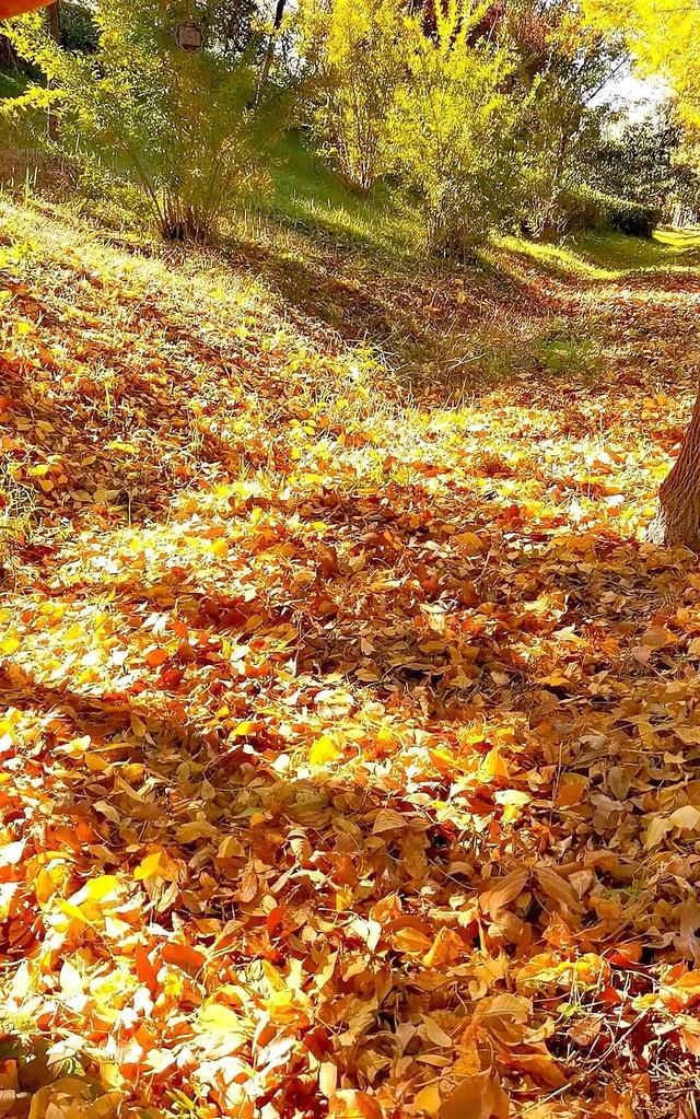 人情往来，有来有往，情意绵长