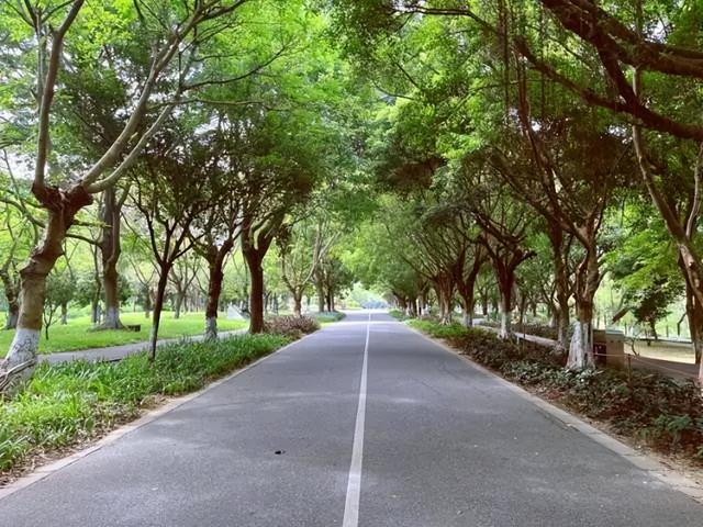 这么近，那么炫，周末来充电！