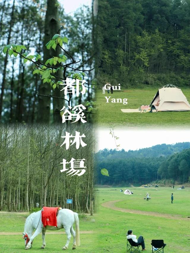 速戳！贵阳白云风筝嘉年华，随风筝趣玩白云