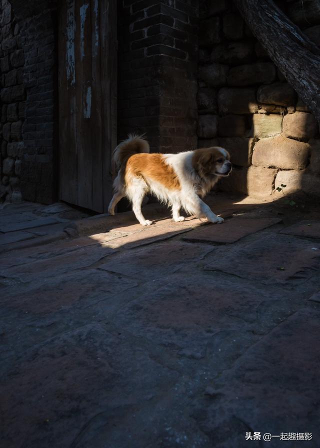 九曲黄河第一镇藏着什么秘密？