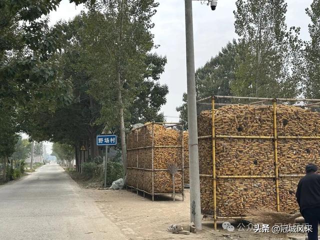 冠县乡韵·桑阿镇野场村