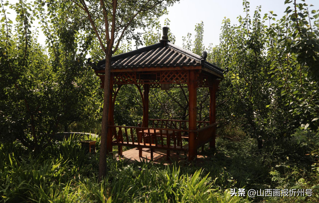 又见奇村 | 你知道吗？南高藏着一个“窑洞秘境”！