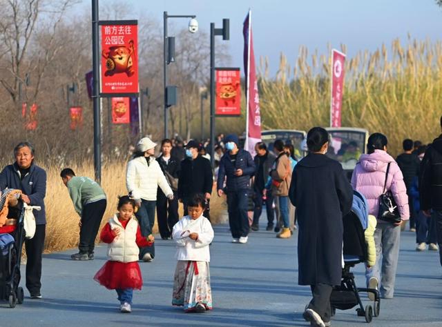 郑州新晋“顶流”已到位！走，去七千年大河村“串个门”