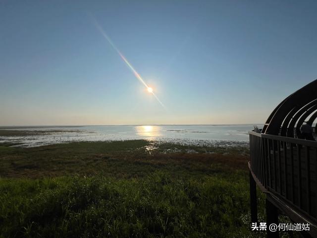 吴城狮子山观鸟