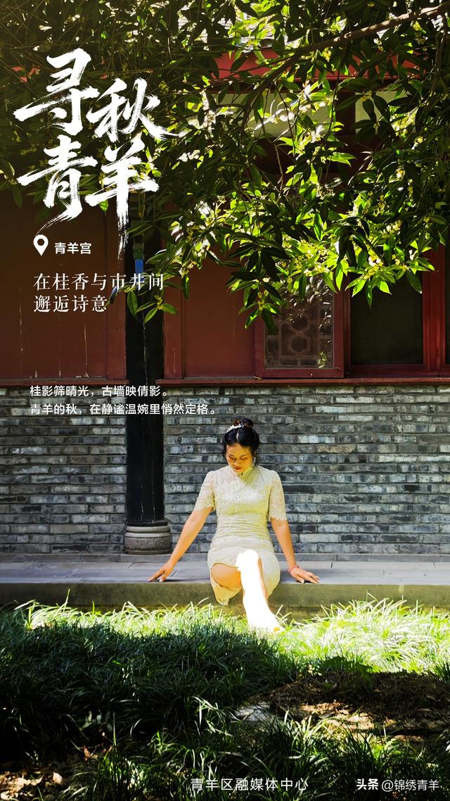 寻秋青羊：在桂香与市井间邂逅诗意