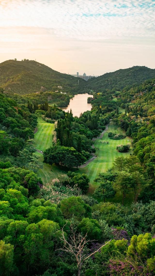 厦门的冬天给北方朋友一点小小震撼~