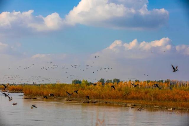 鸿雁带霜来，秋色始斑斓