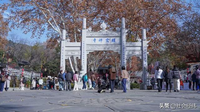 枫染栖霞醉金陵！明秀山红叶铺就秋日限定画卷