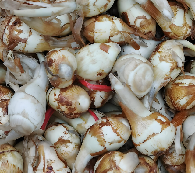 炖排骨别总放玉米胡萝卜，换这几样小食材，味道更棒还特滋养