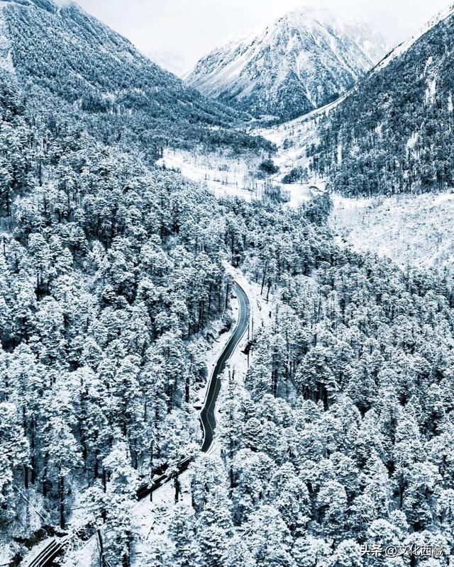 西藏下雪啦！是时候闯入扎墨公路的冬日仙境了！