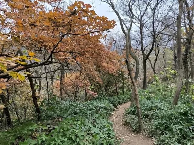 国际山岳日｜今天适合爬山~