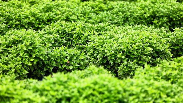 文化中国行丨处暑时节探访大汶口镇：寻秋日故事 品千年韵味