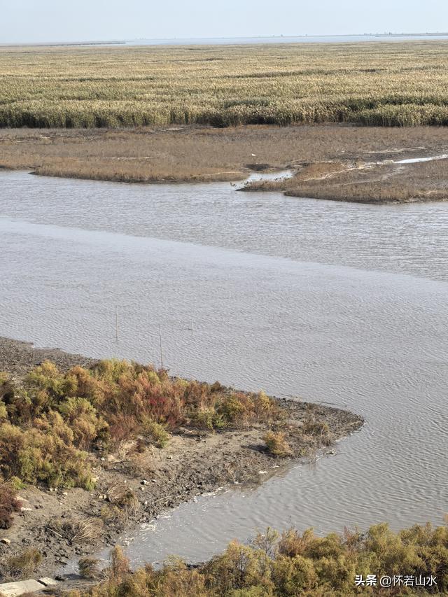 2025辽宁赏秋之旅日记(6)——到辽河口中国最北海岸线看日出 观鸟