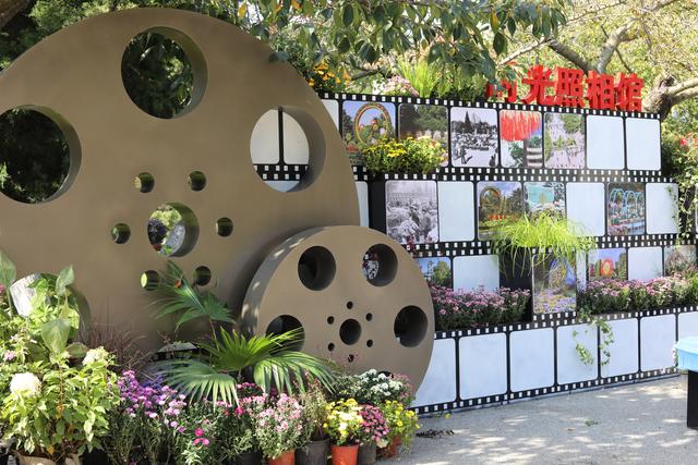 菊香满岛城 繁花映锦年 青岛市第41届中山公园菊展盛装启幕
