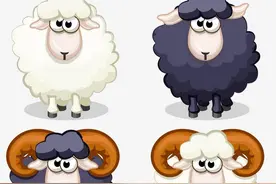 1991年属羊人一生婚姻运势图片