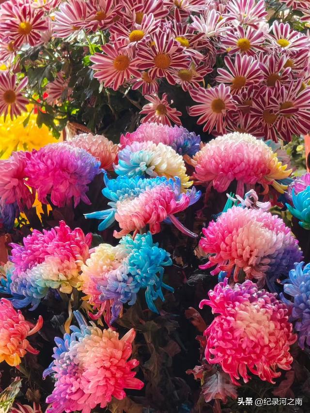 开封旅游：从网红爆款到长红经典的蜕变之路