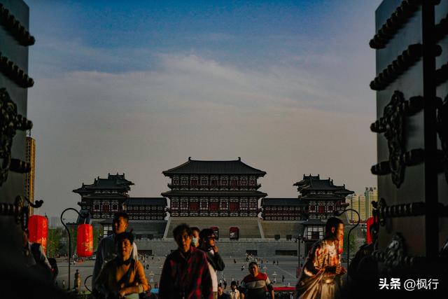 唯有洛阳，能让牡丹不只是花，而是历史本身