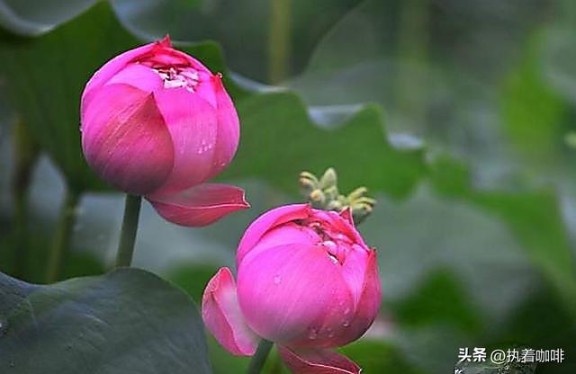 怕“脏”的人，多半没有出息