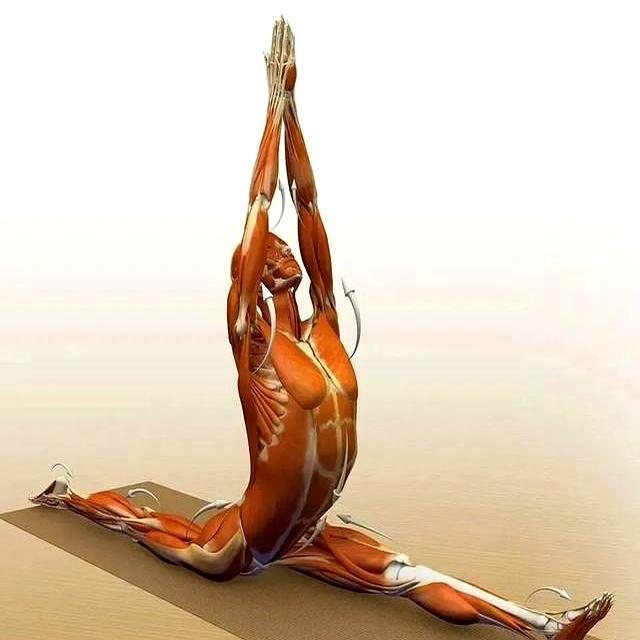 如果这12个瑜伽动作你能做到6个！说明你身体是真的很好！