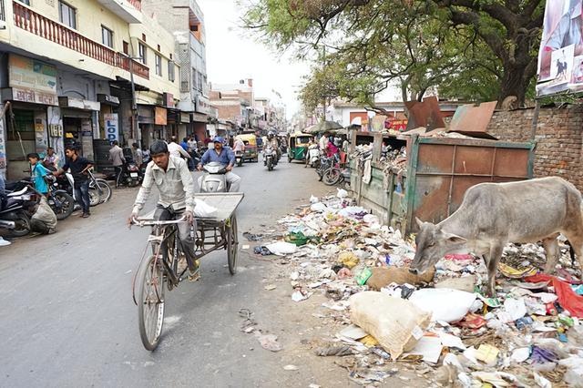 中国游客第一次去印度：虽做好心理准备，还是被“脏乱差”惊到？
