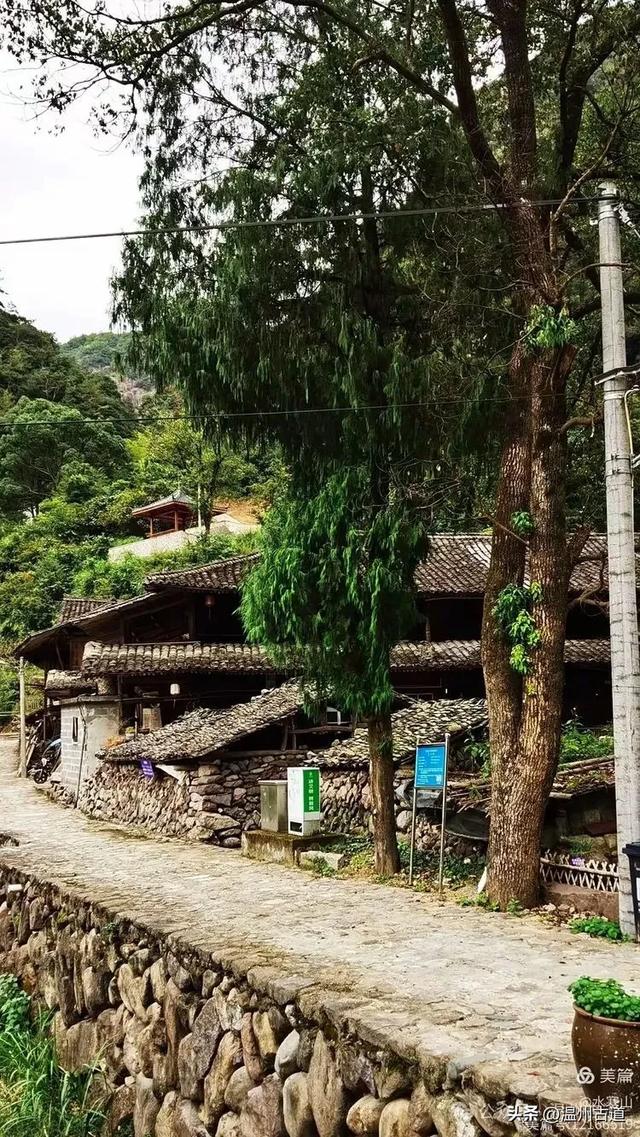 温州大山深处的这个千年遗世古村落你可去过?