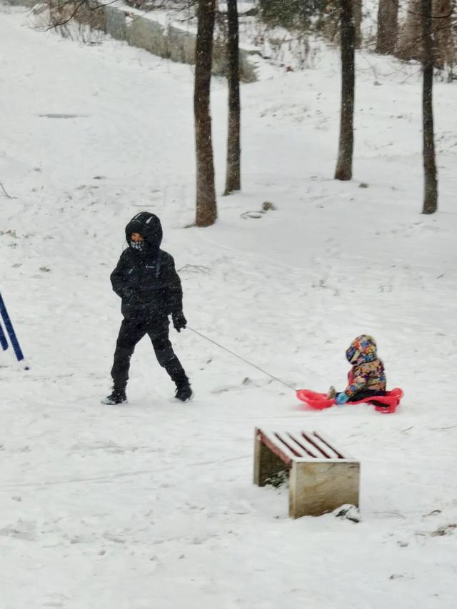 雪落莲城，许你一场纯净的冬日浪漫