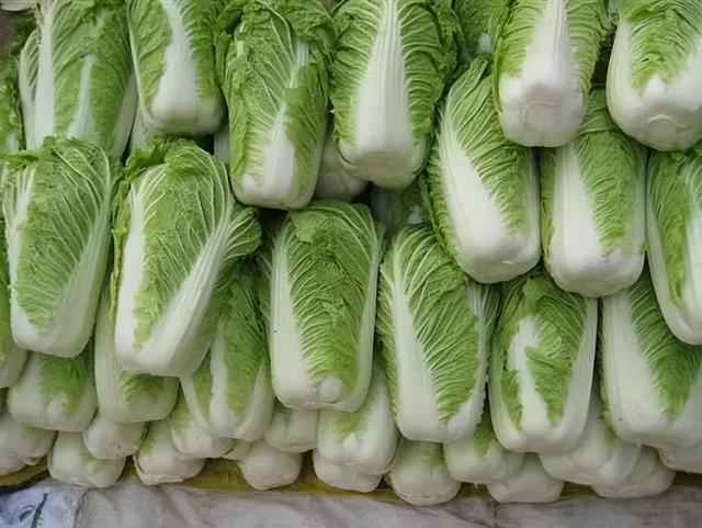 大棚乱了四季，却乱不了北京人对冬储白菜的执念