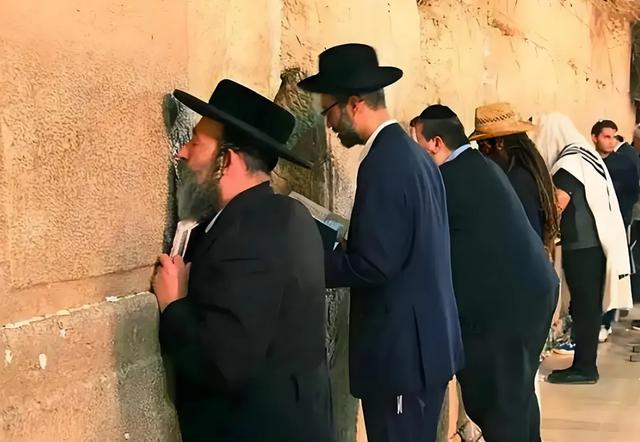 在埃及观察组的日日夜夜（七 完结篇）