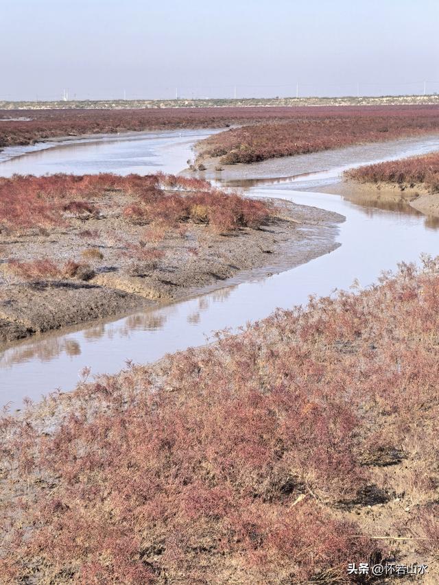 2025辽宁赏秋之旅日记(5)——从本溪前往盘锦 游览红海滩景观