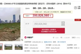 合肥一地块将被拍卖，目前仍无人报名！图片