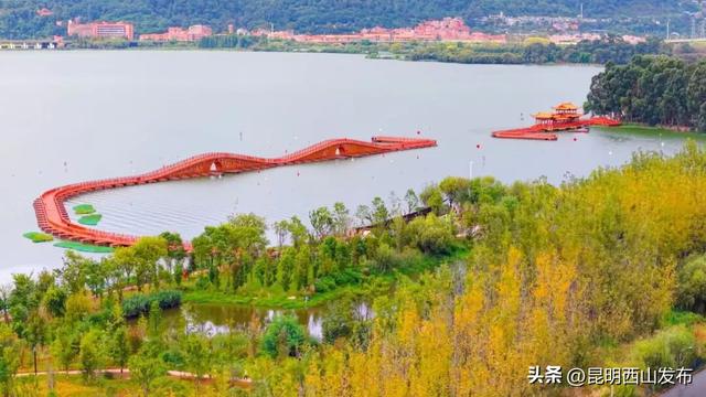 滇池开合浮桥｜横卧草海的“金龙”连通两岸