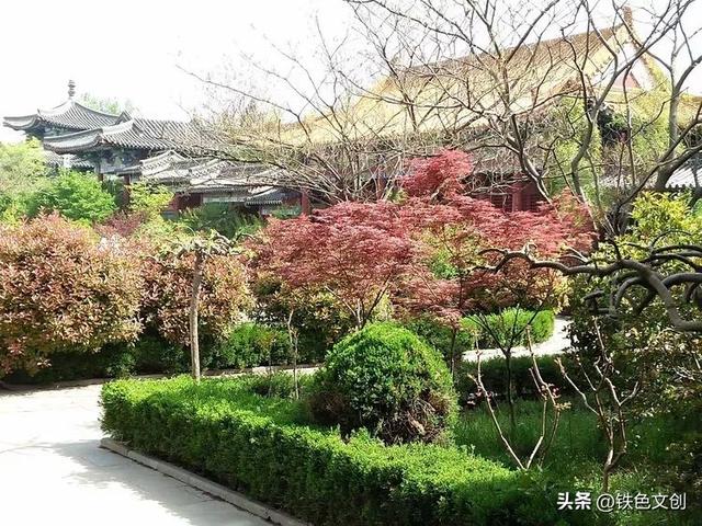 铁兵游记 | 枣庄铁道游击队纪念园和微山湖