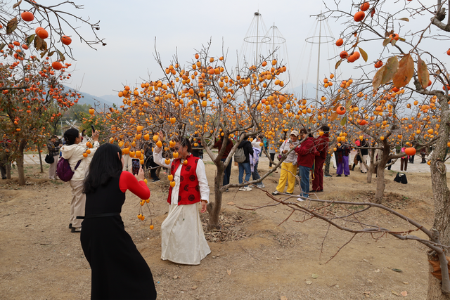 沙子口街道大河东村双拥公园：秋意浓，文明美，共赴一场秋日之约