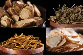 耳鸣脑鸣，这份百年古方重见天日，专攻蝉鸣音，耳根立清静！图片