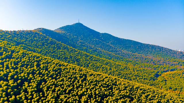 南京的秋是七彩画布
