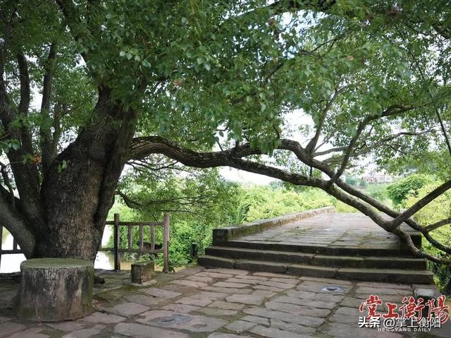 衡阳首次发现神秘古桥，或将成新晋打卡地