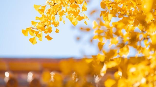 漱玉泉边，词香千年