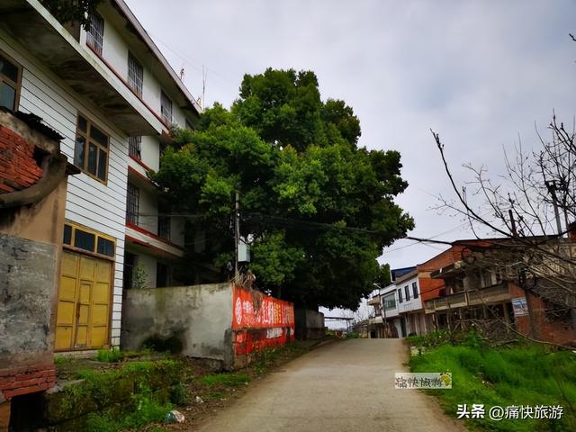 行走自贡：荣县乌老山上的懂政老街