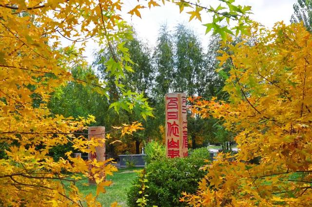 即刻出发！两天穿行白城四地，邂逅吉林西部的独特魅力