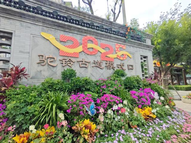 “花漾”漫染千年古道!模式口以繁花织就京西生态人文画卷