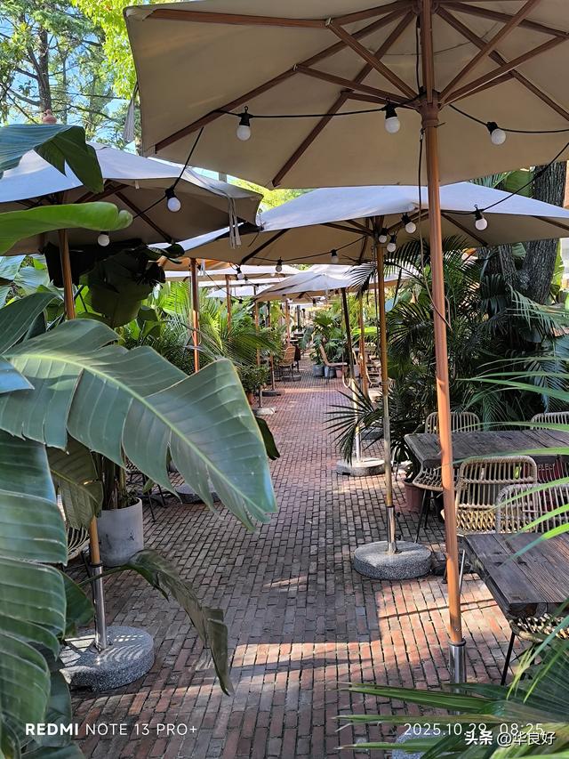 蜕变！变的更美！