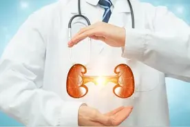 护肾中成药全解析：科学护肾的十大选择，从中医药视角护肾药应用图片