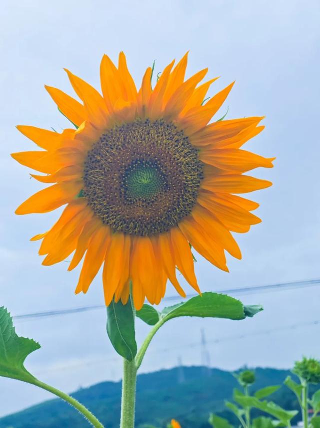 拿好这份初秋“寻色地图”，骑行解锁韶关的限定美景