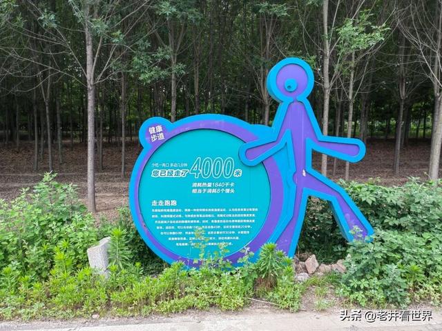 济宁城区北边有条森林绿道 文‖井明新