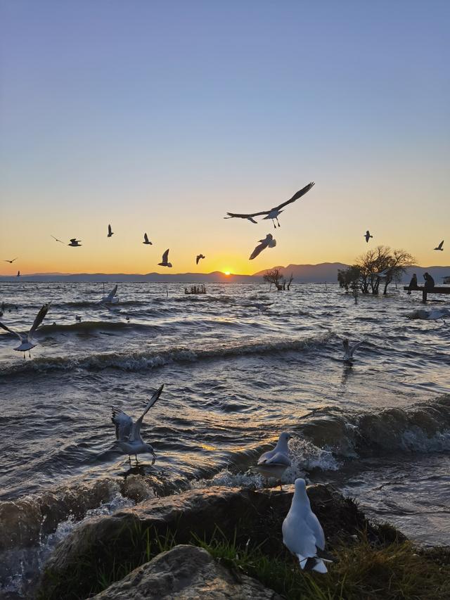 该存在的东西，都会一直存在