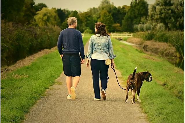 便利生活爽一时？AI展示2050年久坐后果，看完想立刻起身