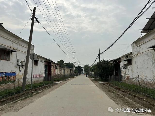 冠县乡韵·桑阿镇野场村